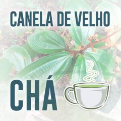 CANELA DE VELHO 20G - CHA